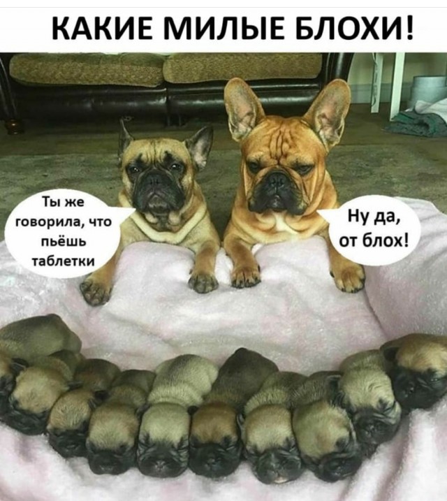 Конец света