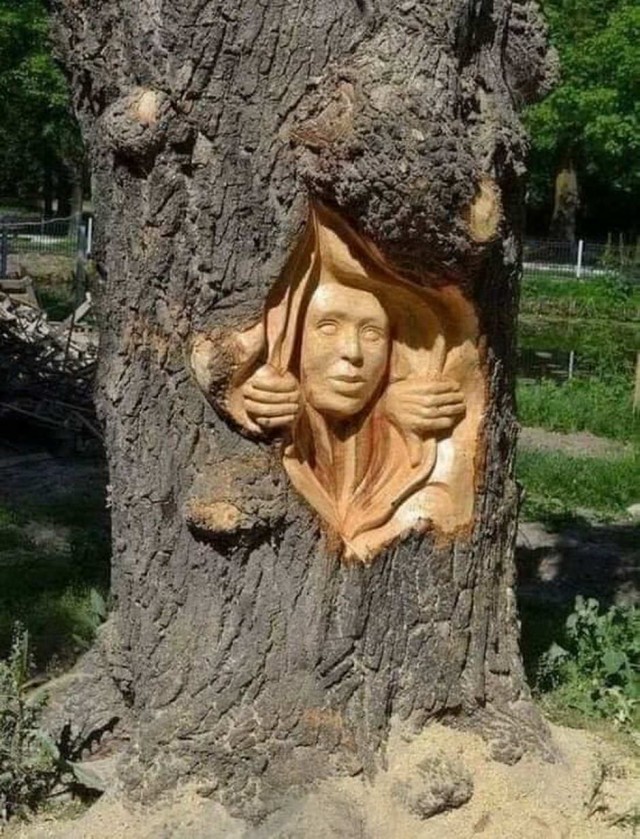 Дурацкие картинки