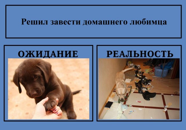 Фотожаба: Ожидание / Реальность