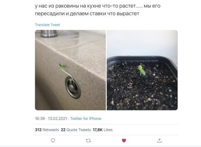 Весёлый полтишок 2.03