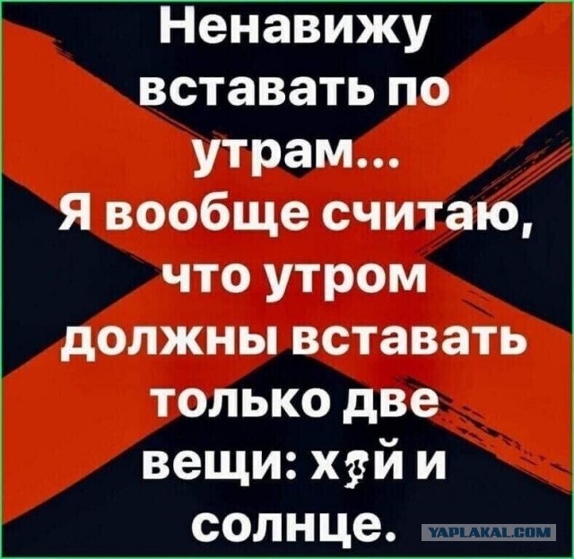 Немного картинок разной степени новизны и адекватности - 4
