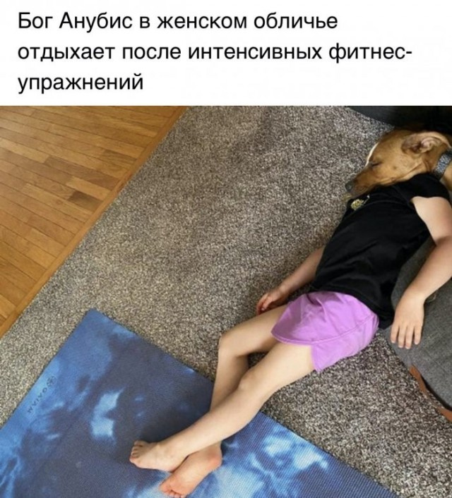 Картинки и мемы для настроения
