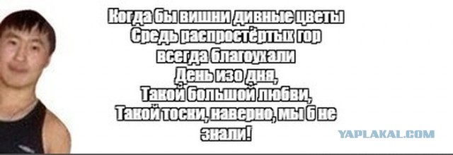 «Лежат под кустом полуголые девушки, это наглость!»: Ботанический сад Петербурга ищет волонтеров для защиты от эросъемок у сакур