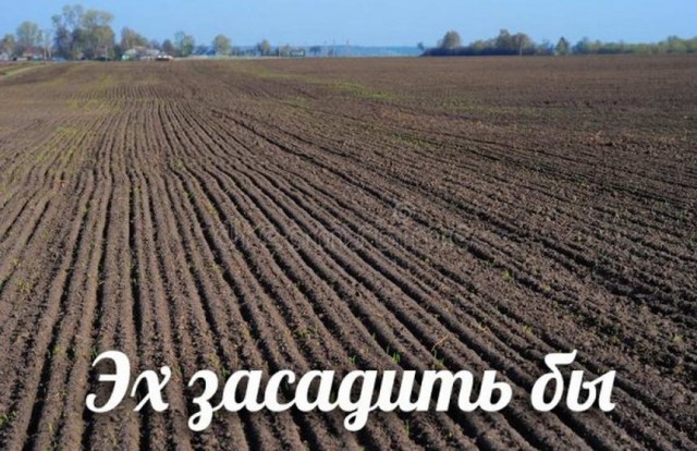 Картинки и мемы для настроения