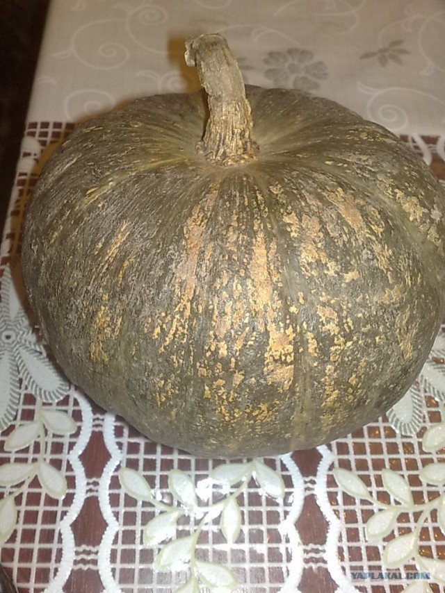 Тыква фаршированная (по Дженибековски)