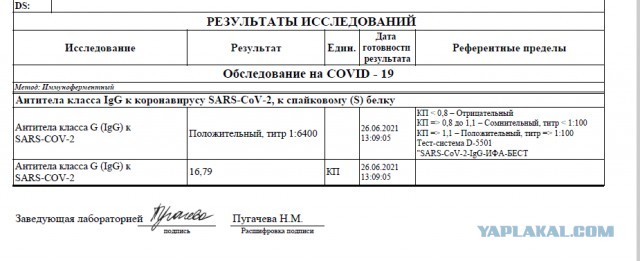 Пандемия. Коронавирус. Россия и мир. Последняя информация. Часть 22