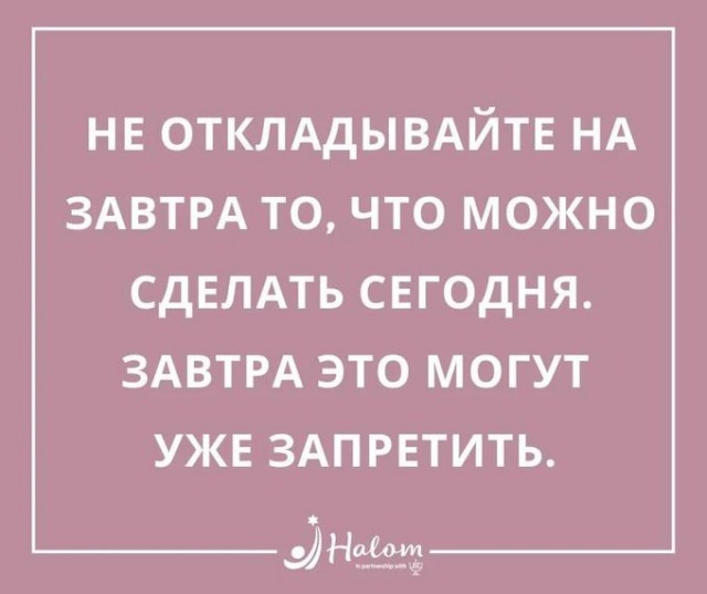 Серая шейка