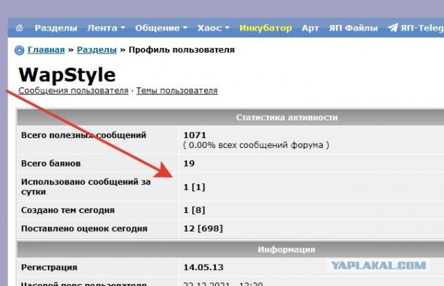 Грудь