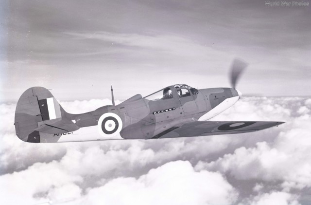 Р-39 Аэрокбра. Американская любимица сталинских соколов. История создания и основные модификации.