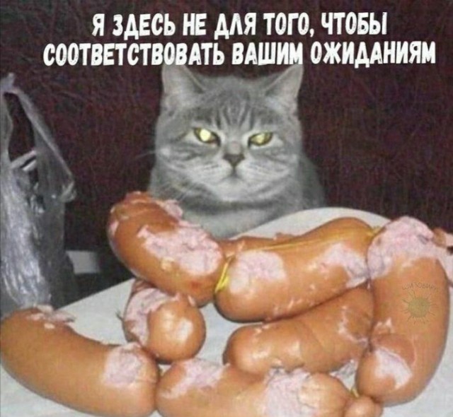 Терпи, потом котлетки будешь есть!