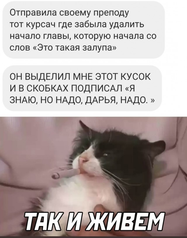 50 оттенков серого. Vol.7 Или самосвал баянов.  50 штук.