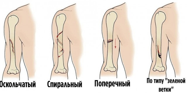 19 важных, нужных и познавательных шпаргалок, которые могут пригодиться в жизни