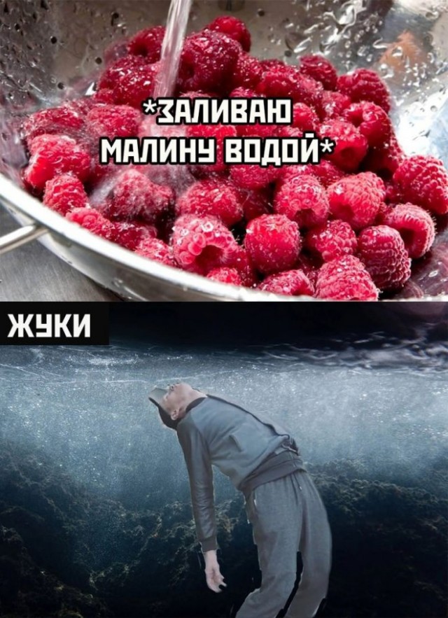 Мой сборник баянов
