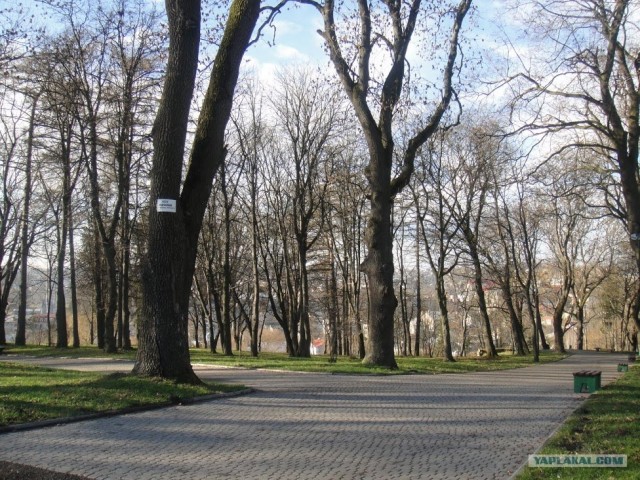 Ураина и украинцы глазами русских.