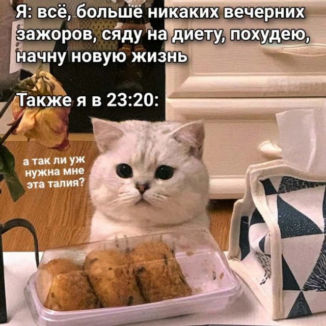 Немного картинок для настроения - 125