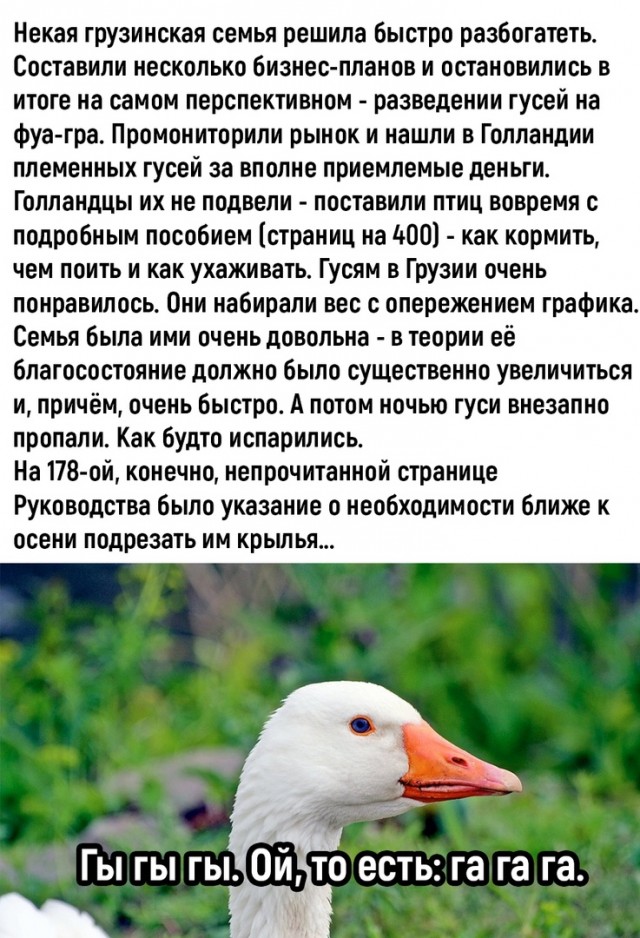 Так себе картинки 17.11.22