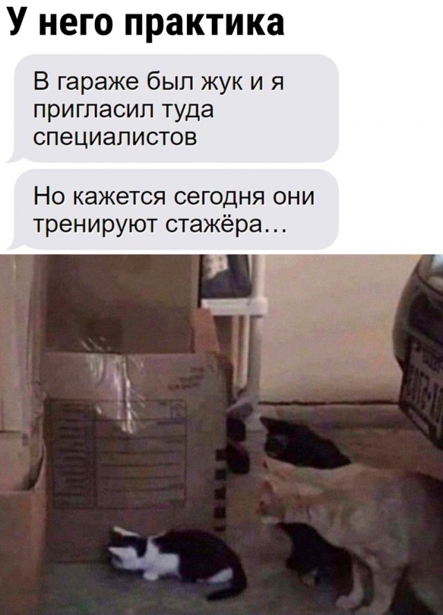 Так себе картинки 12.12.21