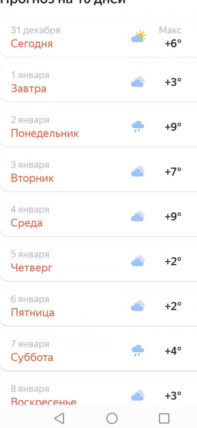 Жизнь домашнего приюта для котеек 427