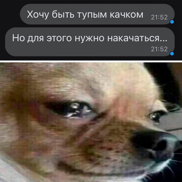 Весёлый полтишок 09.01.23