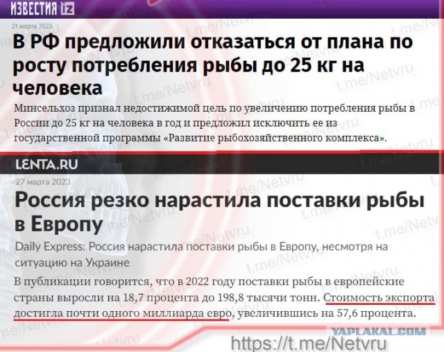 Победная поступь идиотизма по планете – том 11