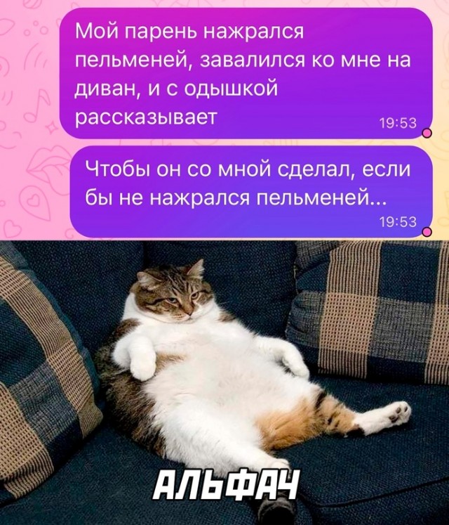 Картинки и мемы, всем хороших выходных