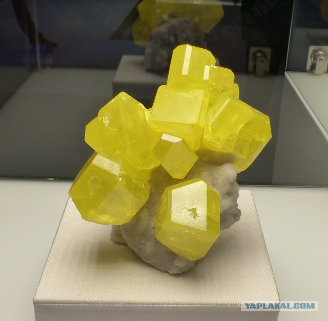 Mineralientage München 2018