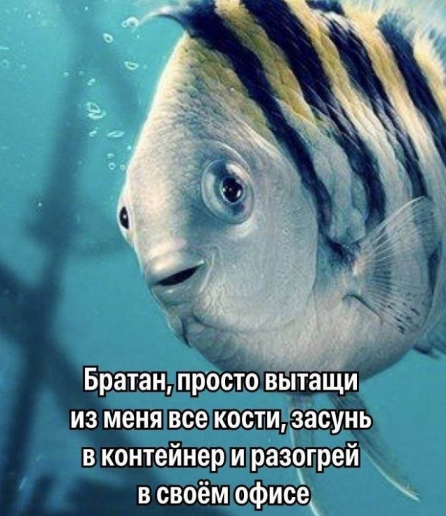 Картинки и мемы, всяко разно - 175