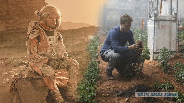 Участки с водой и почвой: обнаружены признаки возможной жизни на Марсе