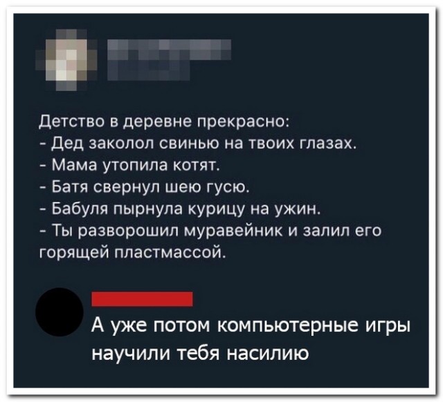 Забавные комментарии из социальных сетей (29.05.23)