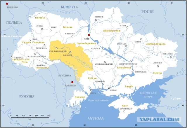 Жареная картошка