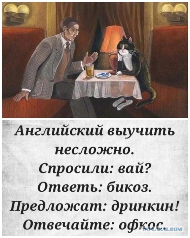 Забавные комментарии из социальных сетей (31.07.23)