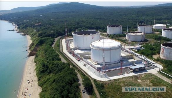 Вот после этого, кому они братушки?