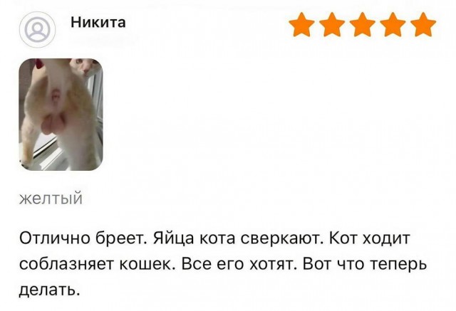 Отряд быстрого деградирования