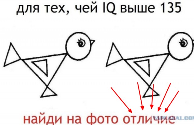 Так себе картинки 17.04.24