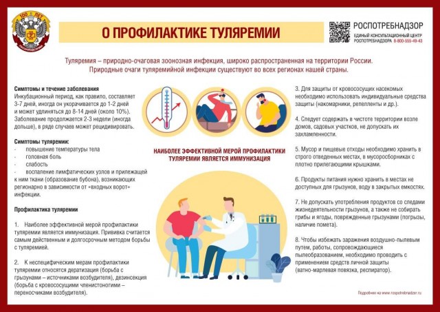 Новая чума шагает по стране. В России растет заболеваемость туляремией