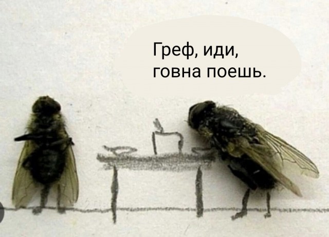 Из рубрики «Цитаты великих»