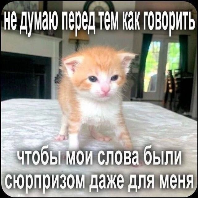 Всего понемногу. От 31.07