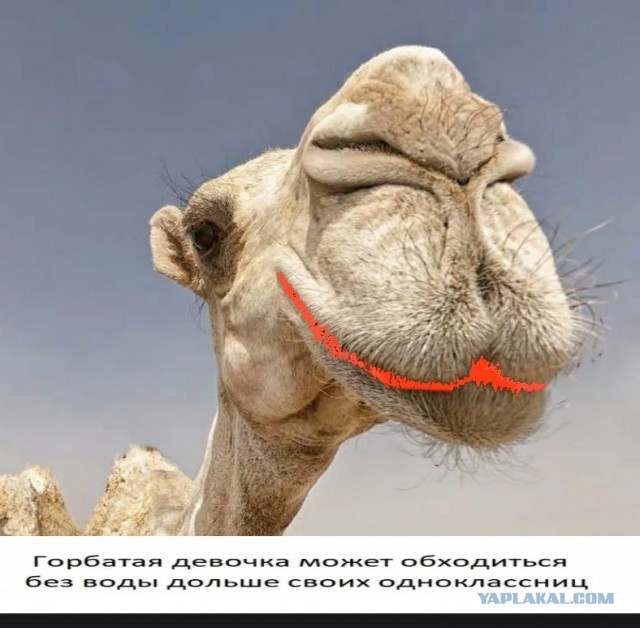 Народная меДИЧина 5001