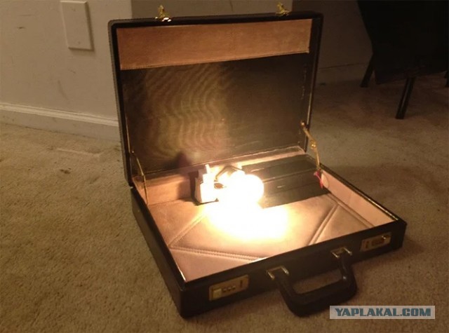 Почему Тарантино культовый режиссёр