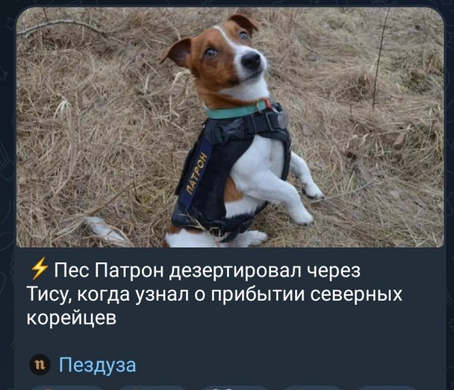 Северокорейские офицеры на стиле