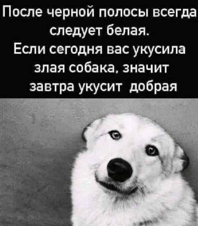 Всего понемногу. От 20.01.2025