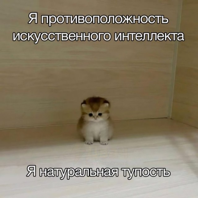 Так себе картинки 20.01.25