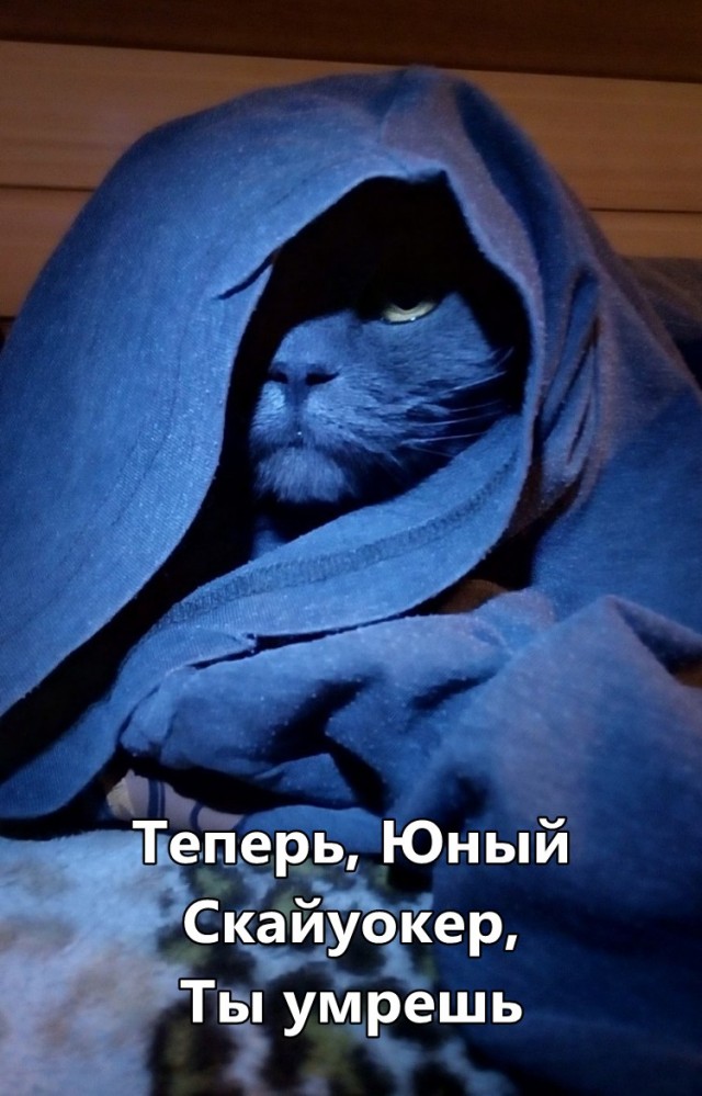 Картинки разные с надписями и без