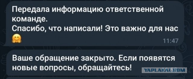Я не стукач, просто достали