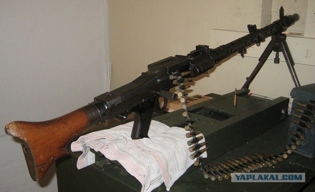 Стреляя из «Сайги-12» патронами калибра 12х76, гражданин срубил дерево
