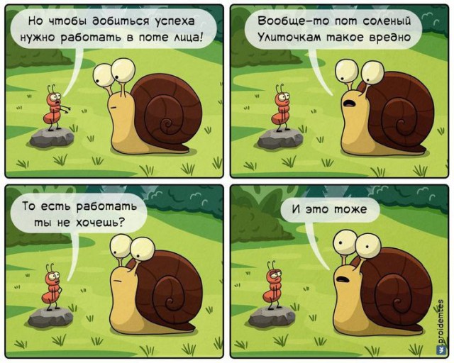 Так себе картинки 11.05.25