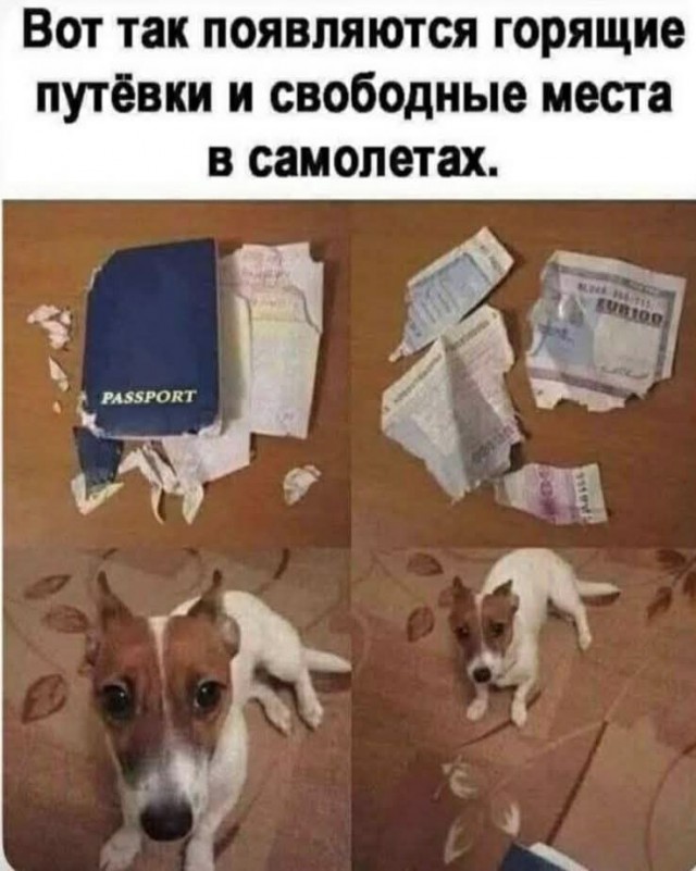 Маленькая пятница 4.06.25