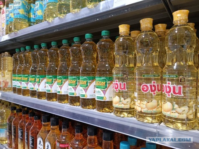 Дума попросила Мишустина ограничить использование пальмового масла в продуктах