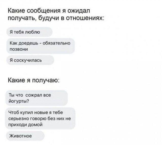 Веселые картинки в маленькую пятницу (22.10)