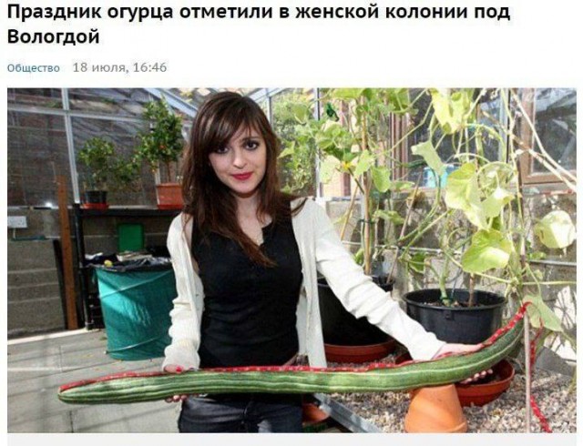 Забавные и не очень скромные картинки - 16